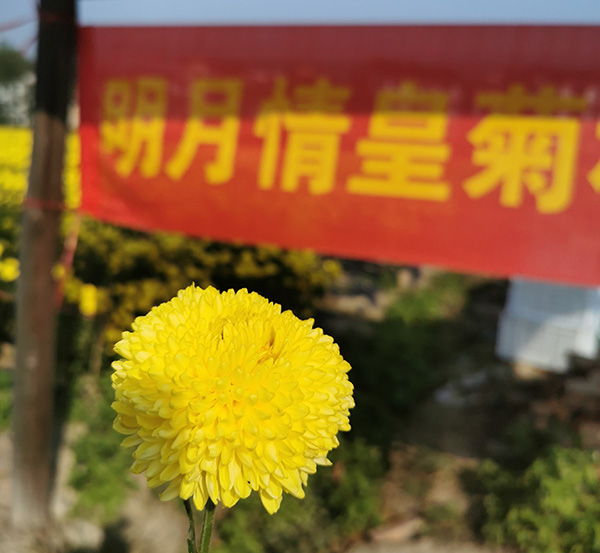 基地展示